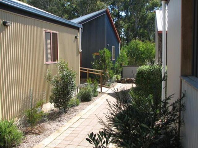 Derwent Bridge Chalets & Studios Rum bild